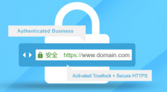 SSL证书免费安装服务